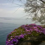Aci Brezza Di Mare Casa de Férias