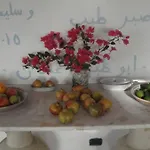 Aci Brezza Di Mare Casa de Férias Acireale