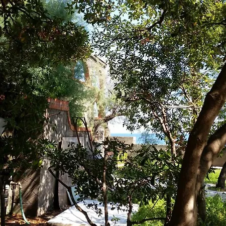 Aci Brezza Di Mare * 阿奇雷亚莱